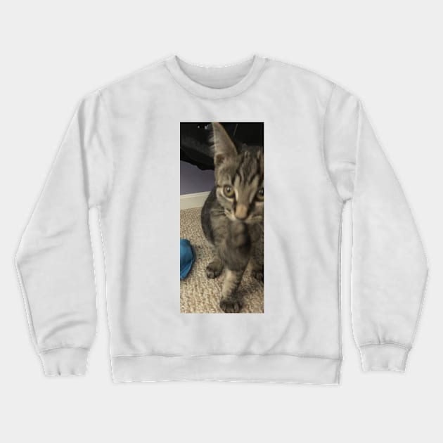 I’ve got a secret. Crewneck Sweatshirt by Amanda1775